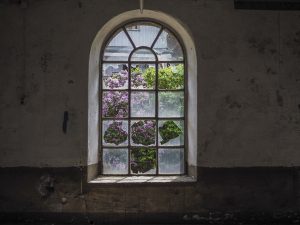 Pic